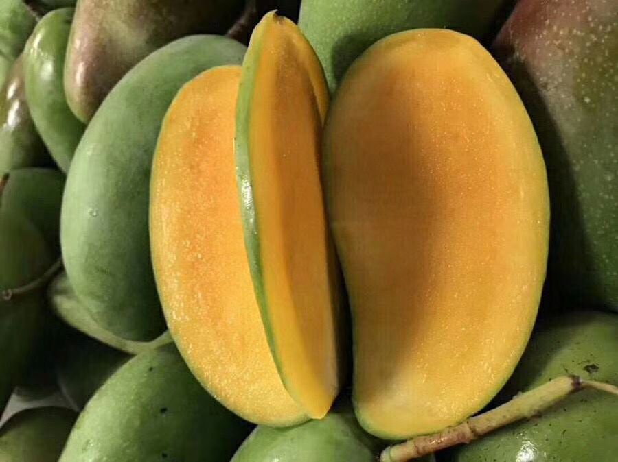  越南甜心芒，生熟两吃芒果一件代发稳定供货