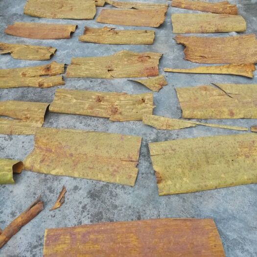 湄潭县川黄柏 质量有保障，量多，诚信交易，多购多惠