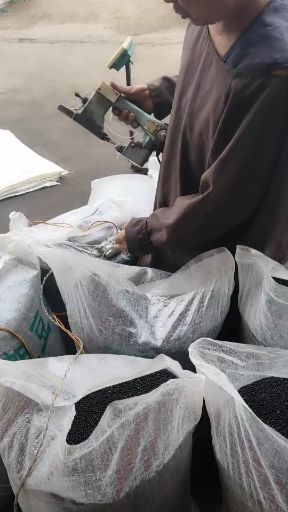 枣庄2020花椒种子确保发芽率90%