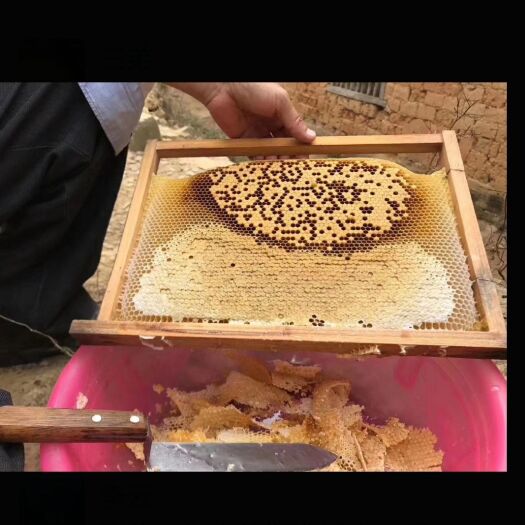 岑溪市 天然农家土蜂蜜，天然，无污染，质量保证