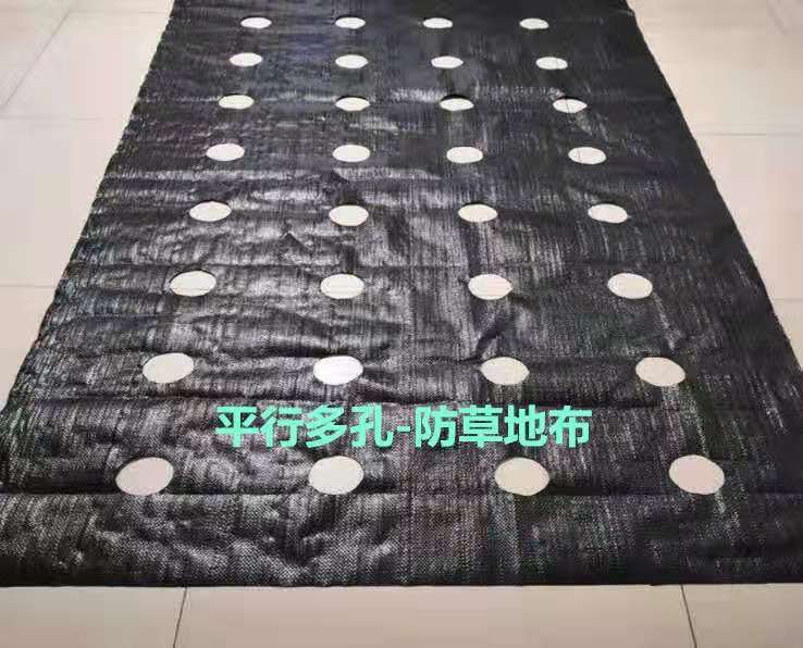  pp  pe材质防草布除草布打孔园艺地布透水透气、绿色环保
