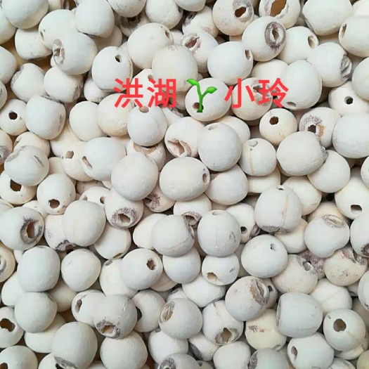 洪湖市白莲子  精品白干莲子 洪湖特产 农家制作 磨皮去芯 包邮