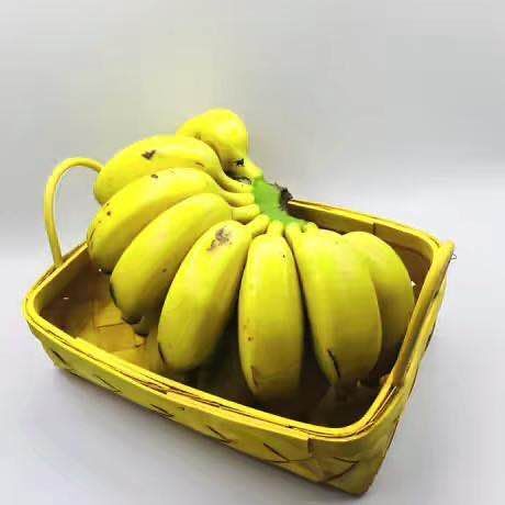 三亚 香蕉