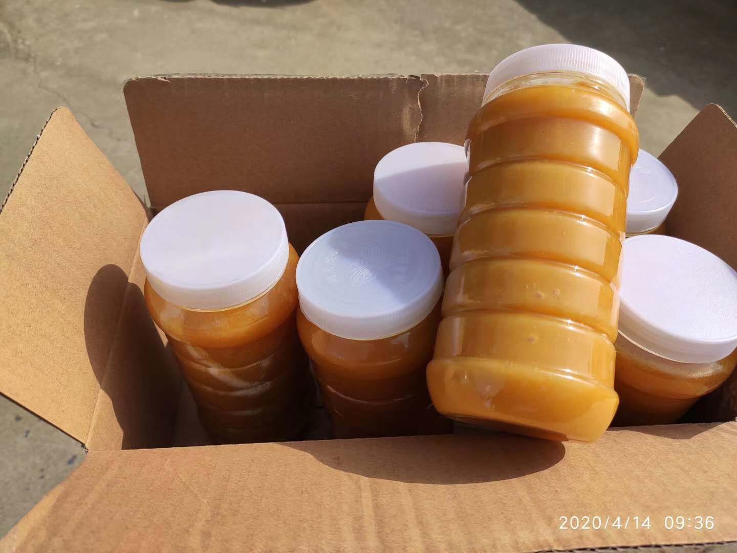 土蜂蜜 2年以上 42 本品不能代替药物