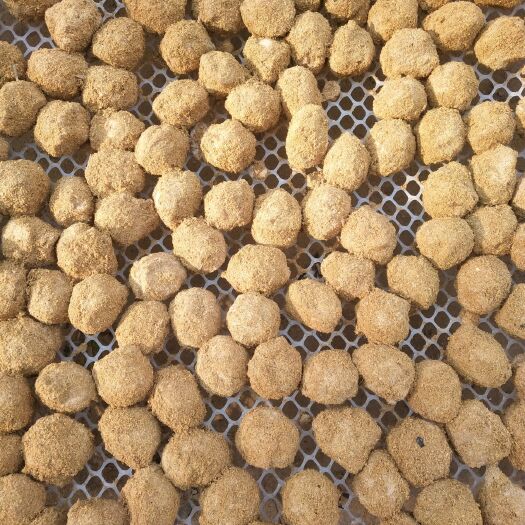 周口河南变蛋 量大从优