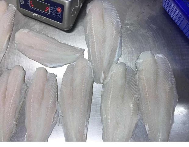 冷冻龙利鱼 龙利鱼柳新鲜冷冻巴沙鱼越南龙利鱼片1成冰海鲜海鱼去骨去刺