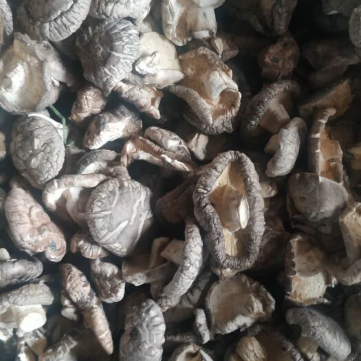 随州 现有大量随州地方特产香菇干货，规格不同价位不同