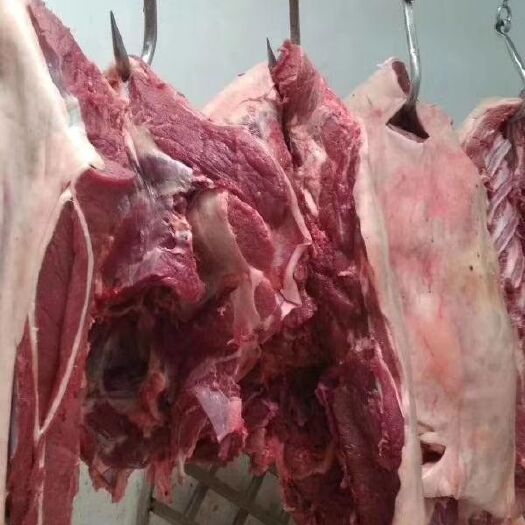 宁津县鲜驴肉，生驴肉，现宰驴肉，驴肉馅
