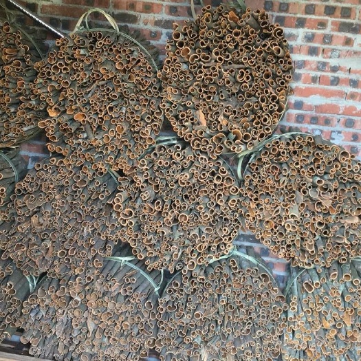 郁南县自家种植大深山老桂皮，自产自销，价格美丽