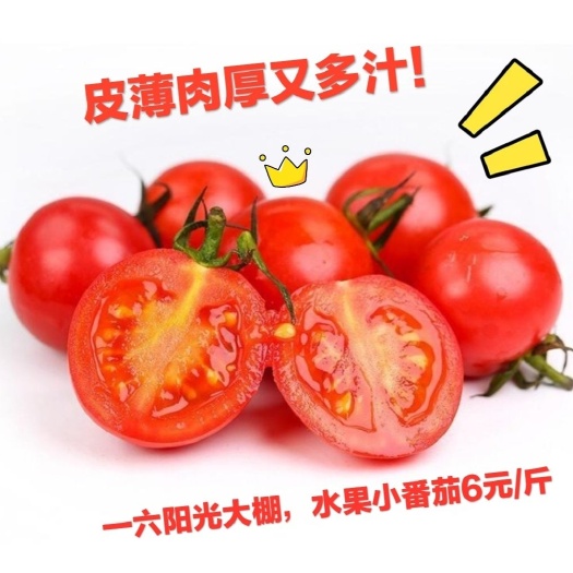 乳源县千禧圣女果