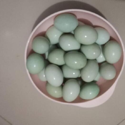 虞城县 自家养殖麻鸭，长期供应鸭蛋，量大从优
