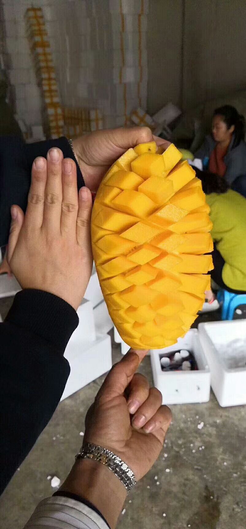 越南大青芒，金皇芒，一级，二级，大量批发