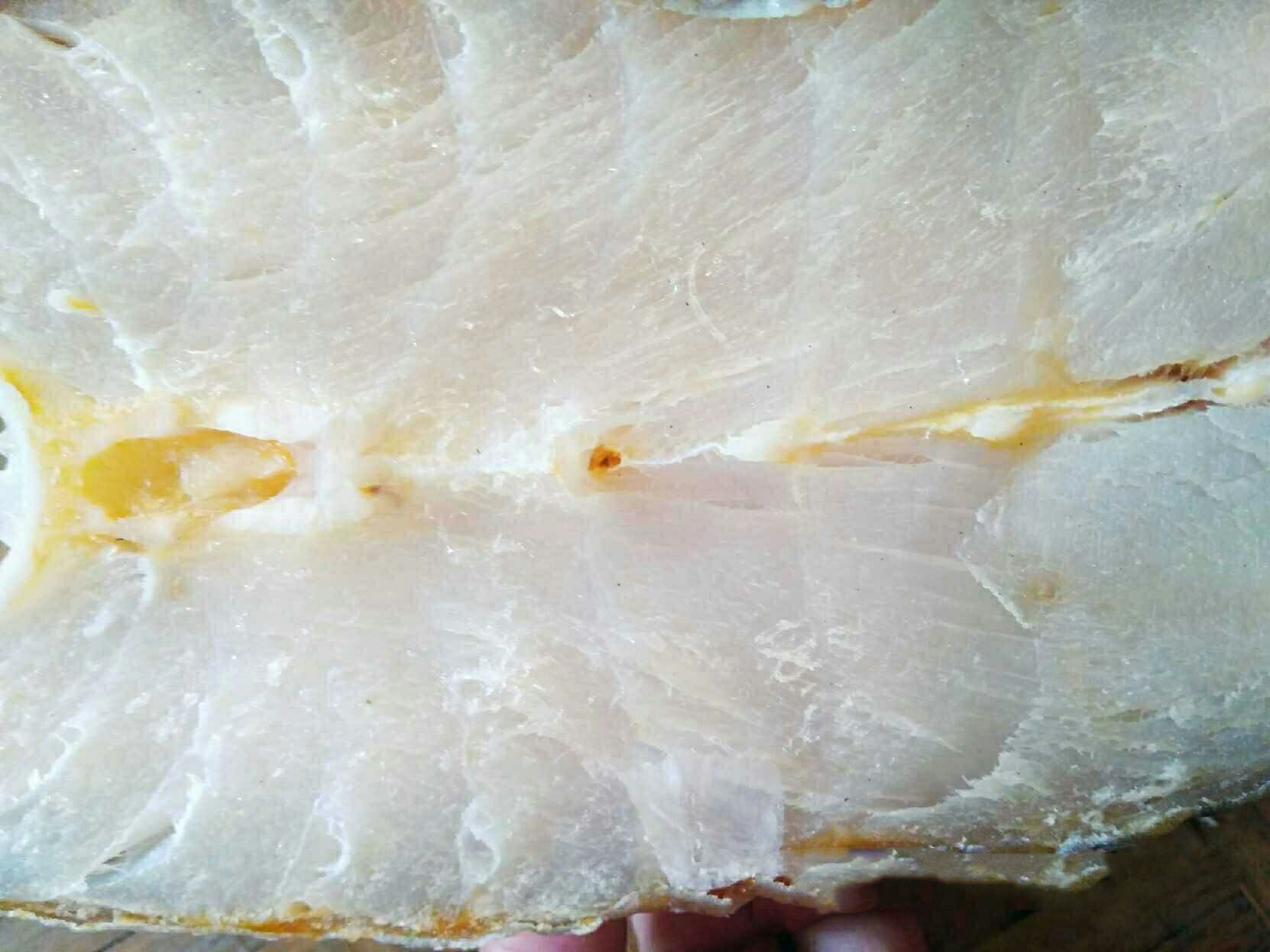  自家晾晒大马友鱼片  天然深海鱼干海味