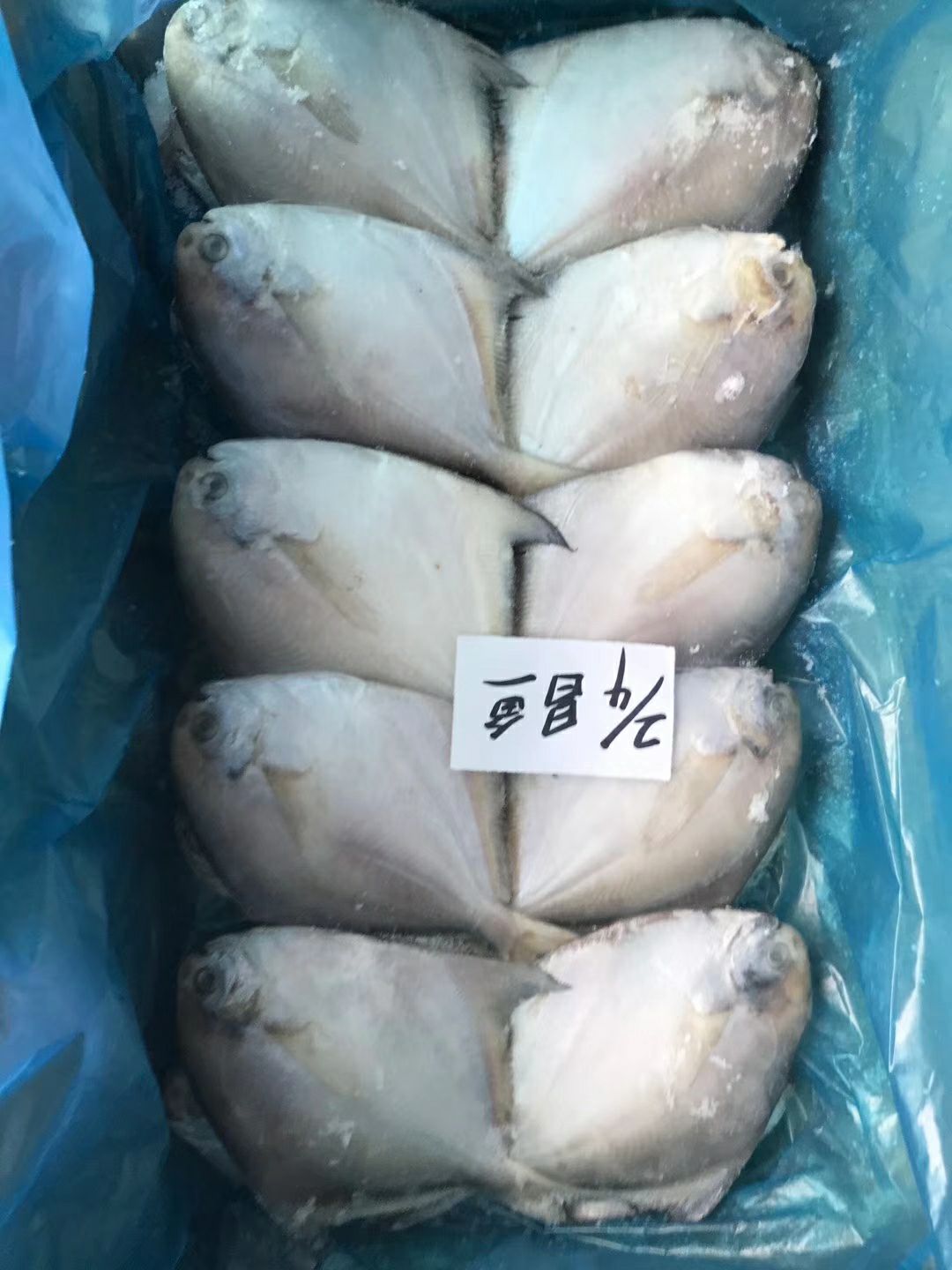 鲳鱼