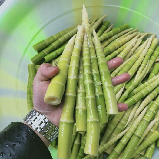 平利县 小竹笋女娲故里茶叶之乡大自然美食 鲜嫩可口 可清炒 可炖肉
