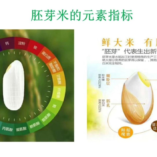 梨树县富硒大米 一等品 早稻 粳米