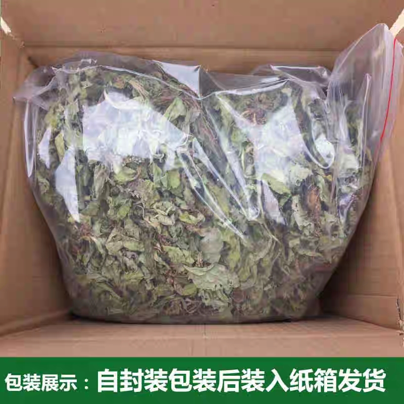  车前草