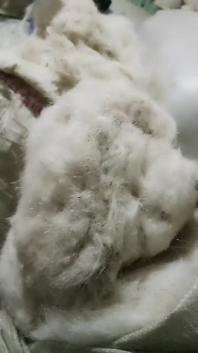 羊绒