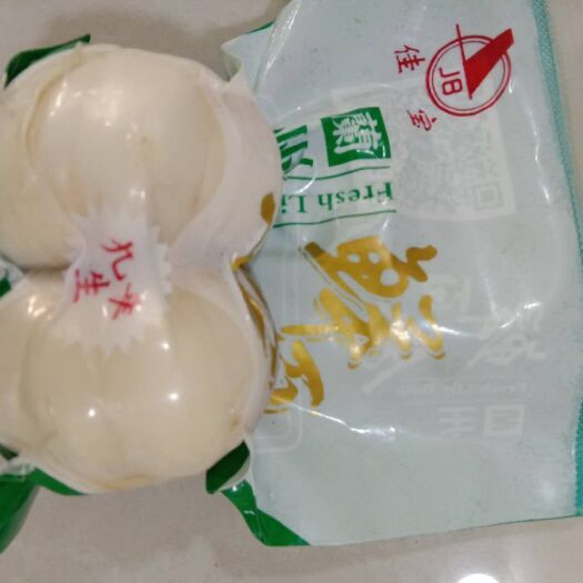 兰州兰州百合 3cm-5cm