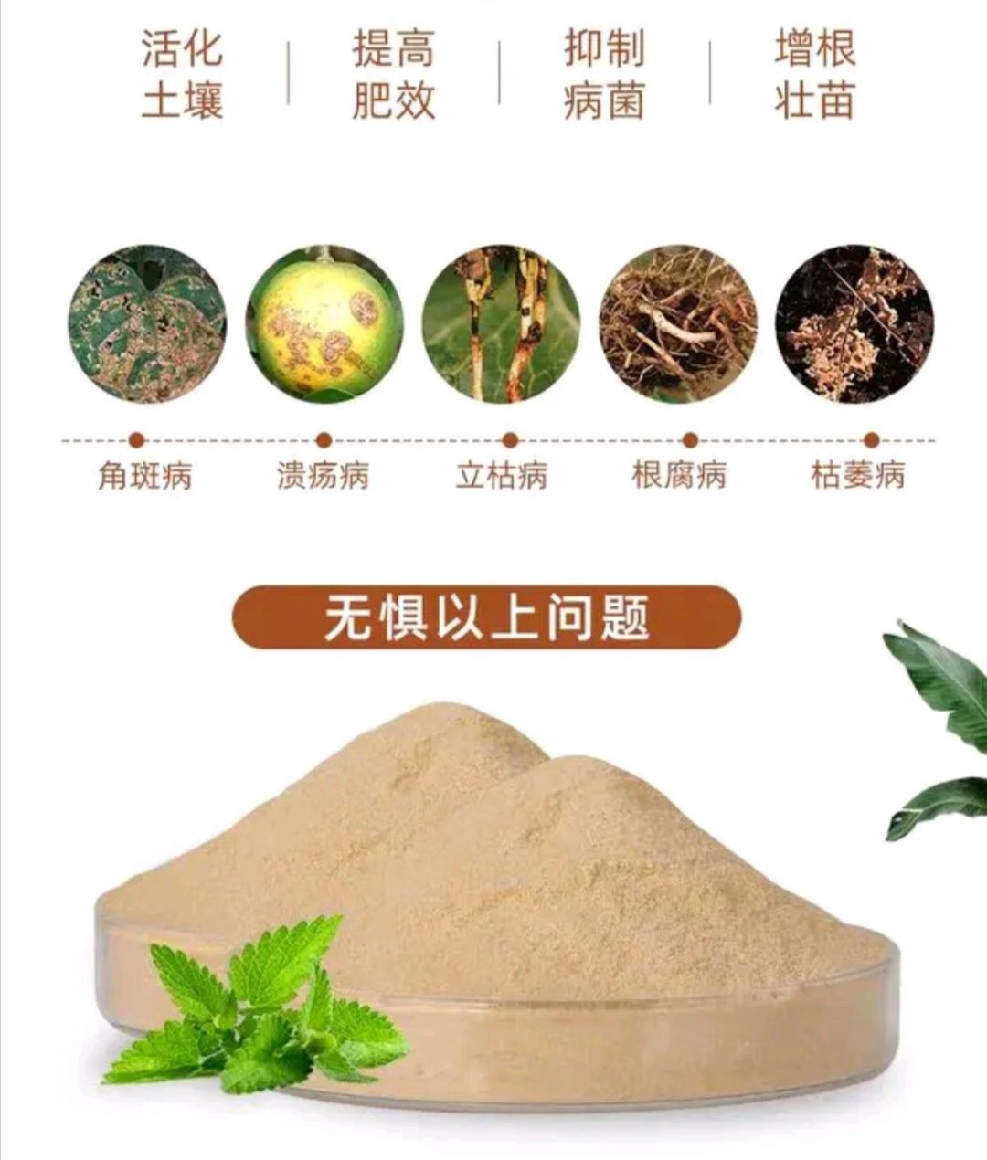 土壤微生物菌剂  枯草芽孢杆菌固炭*******种植益生菌肥