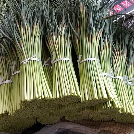 徐州 自家菜园种植纯绿色食品蒜苔