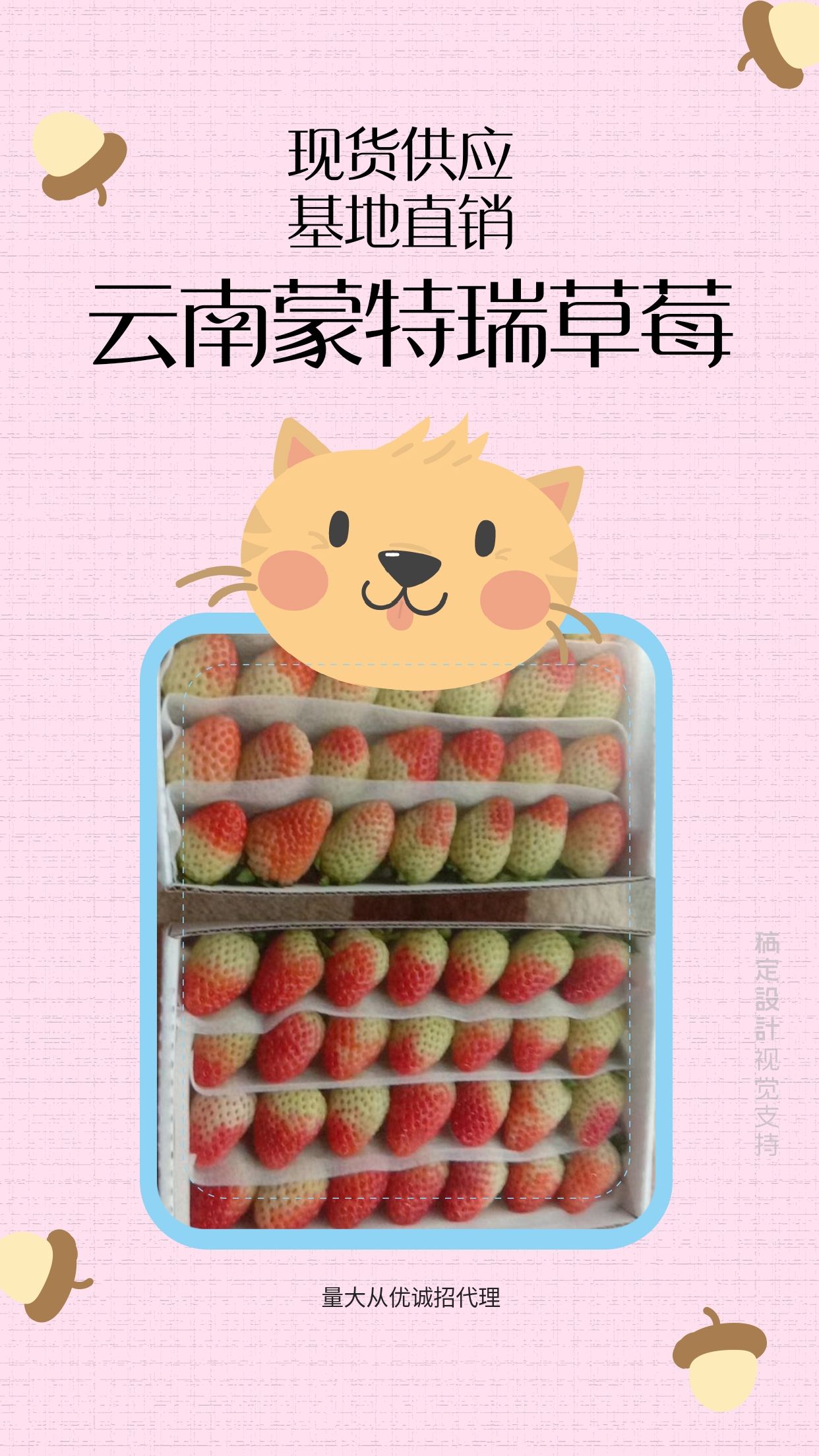  大量现货供应云南四季草莓