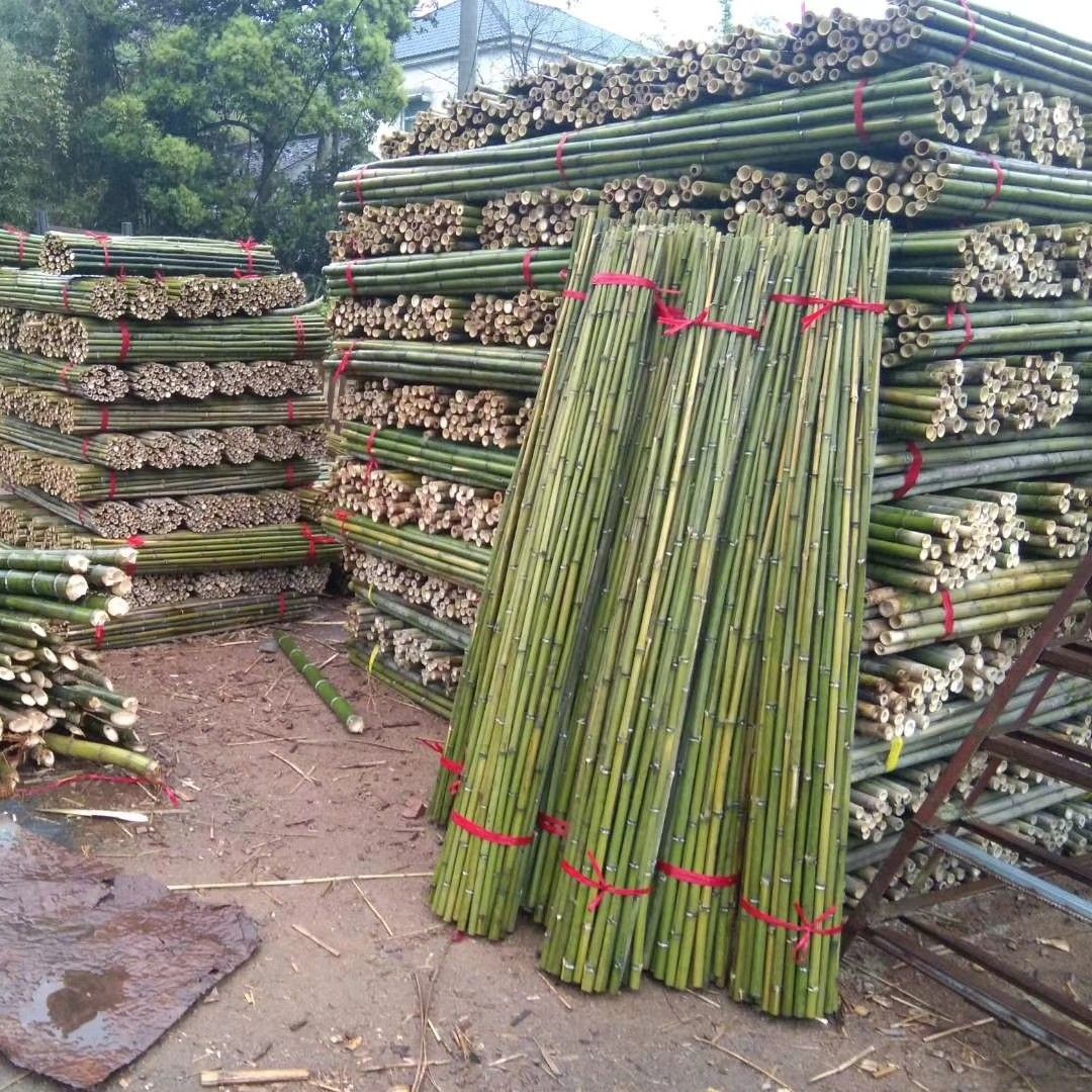 小竹子细竹竿菜园搭架园艺彩旗竹杆架种菜豆角黄瓜菜架竹竹竿