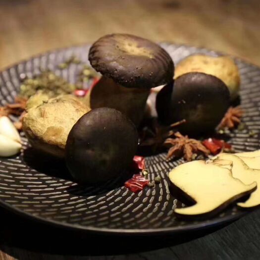 上海上海地区供应工厂化瓶栽黑牛肝菌 餐饮客户优选