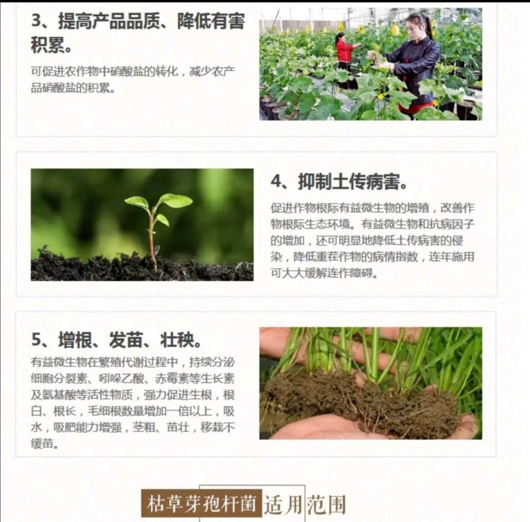 土壤微生物菌剂  枯草芽孢杆菌固炭*******种植益生菌肥