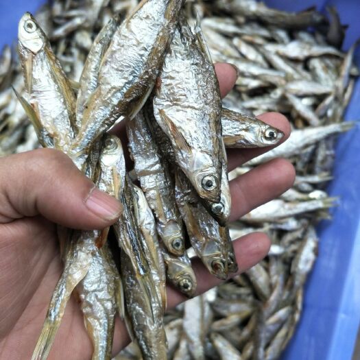 芷江县小麦穗鱼干 沅江水产