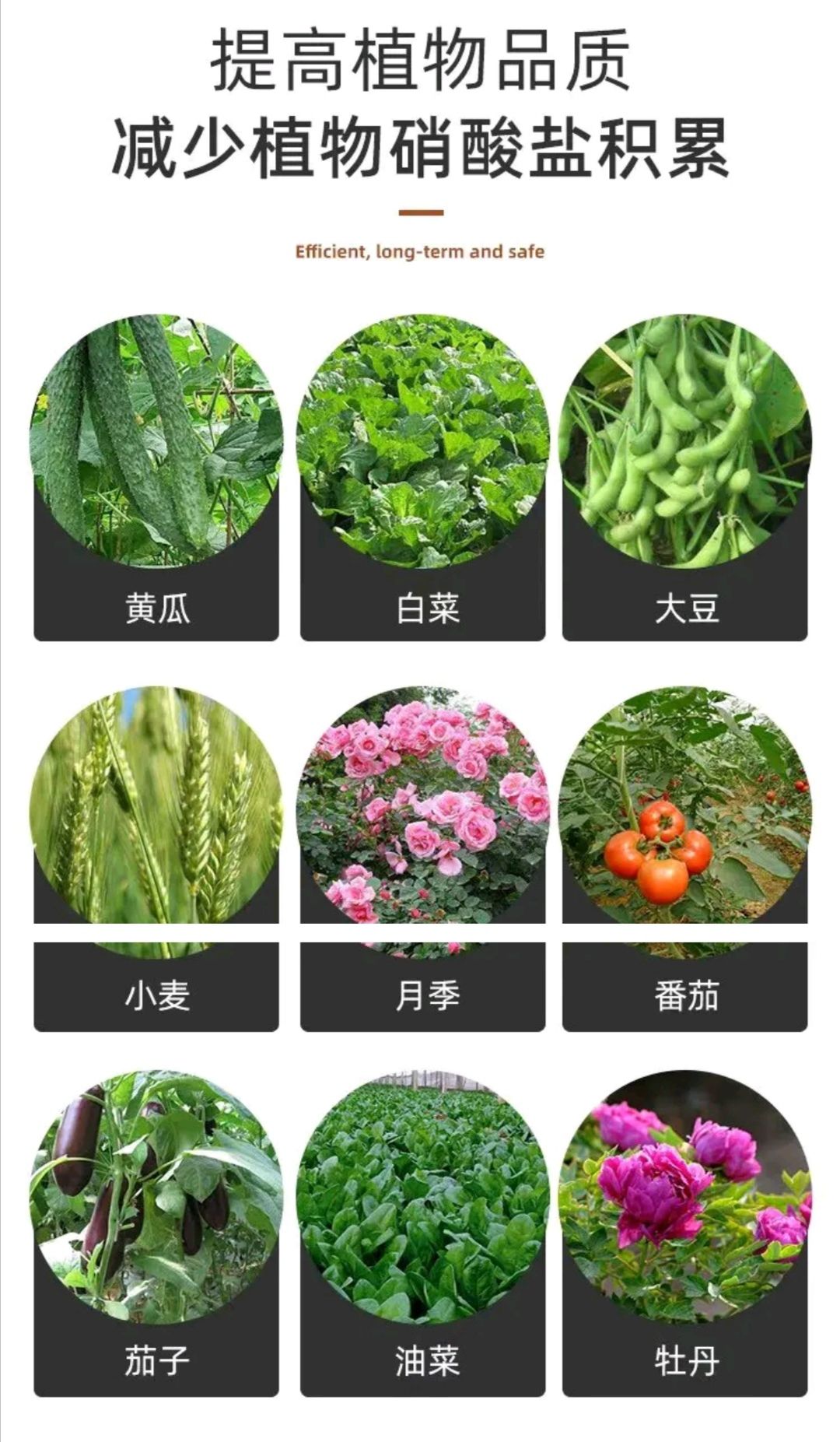 土壤微生物菌剂  枯草芽孢杆菌固炭*******种植益生菌肥