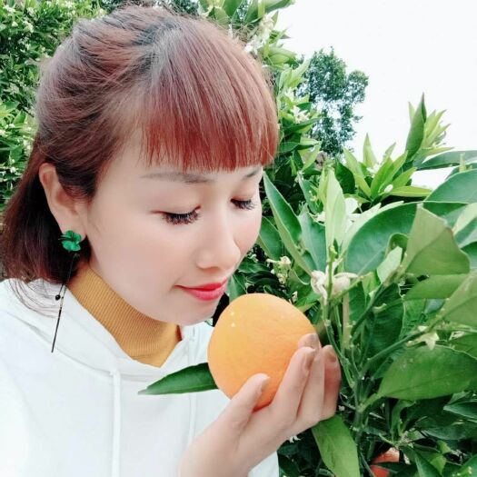 宜都市 橙子   基地直供    看货采摘，保质保量