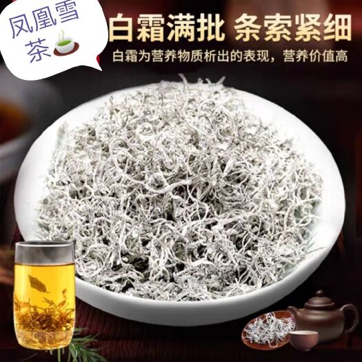 凤凰县高山绿茶 凤凰雪茶上市了！