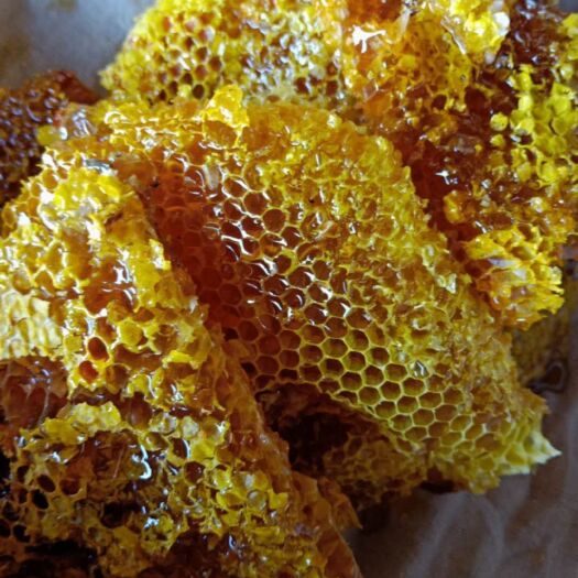 江城县 现有大量深山蜂蜜，欢迎大家选购