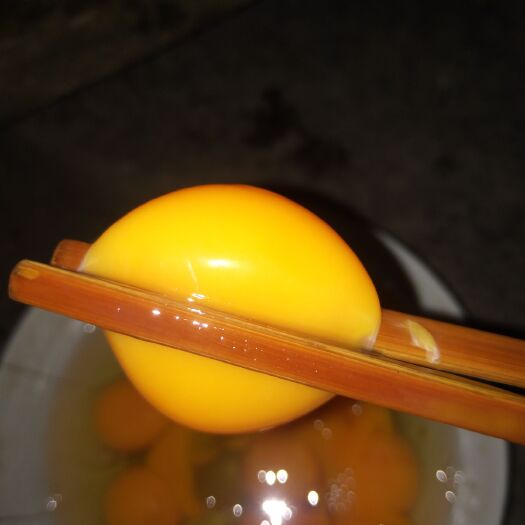 环江县 自家林下放养的土鸡蛋哦健康美味