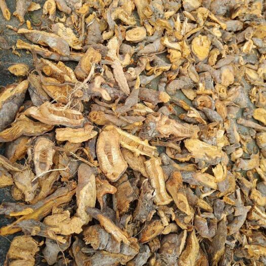 乐平市 虎杖，要多少有多少