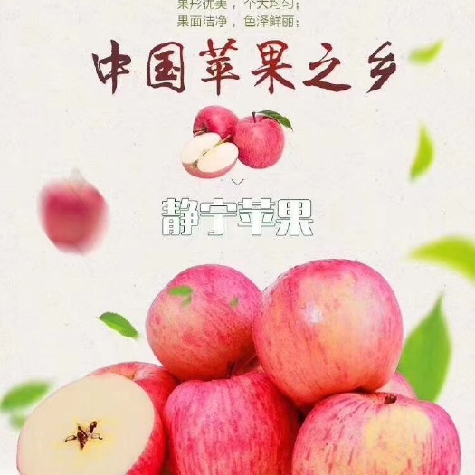 静宁县 静宁优质山地苹果