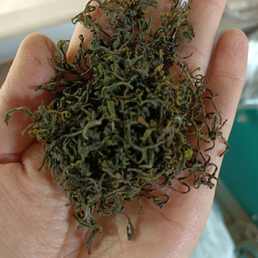 日照日照绿茶 2020春茶优惠尝鲜！！体验早春的味道！