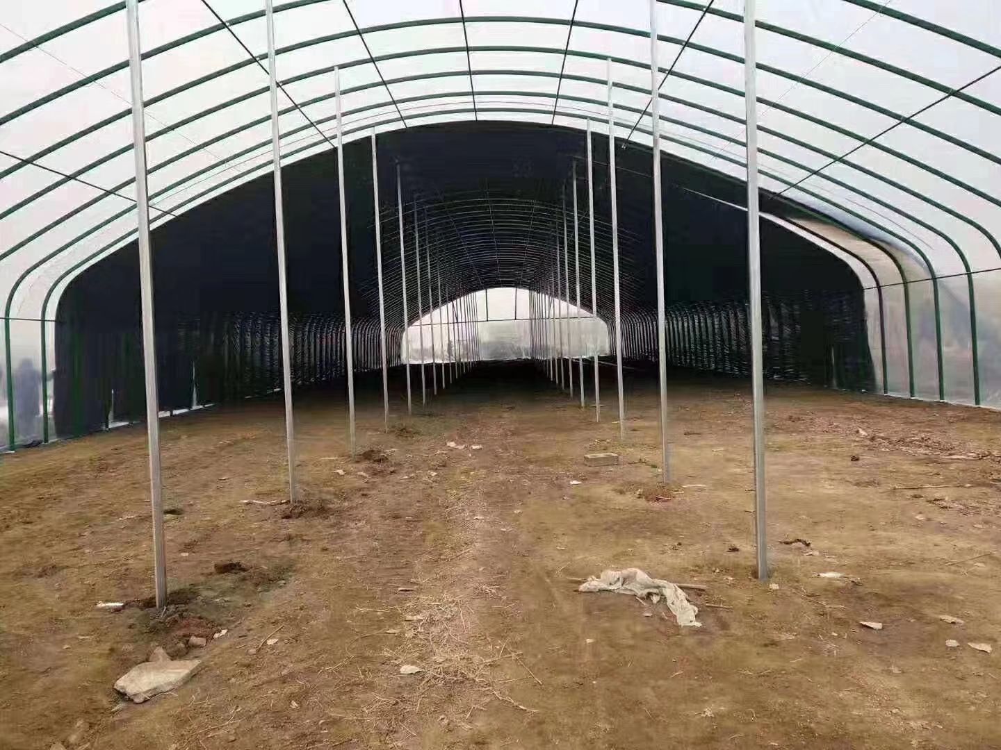 钢管大棚 种植棚养殖棚