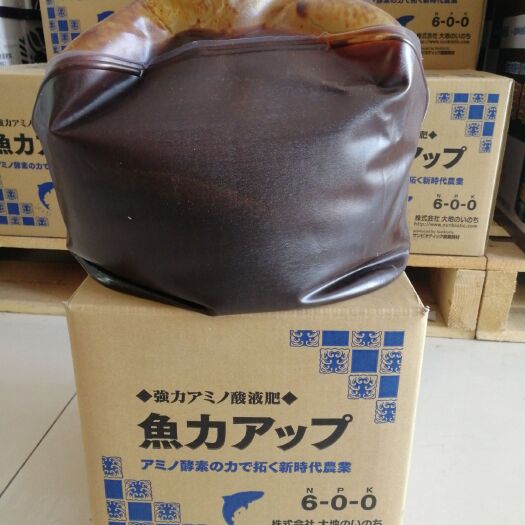 寿光市 原装鱼蛋白