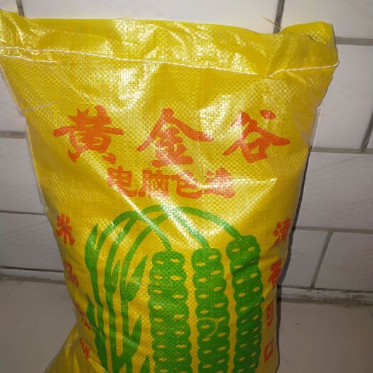 石家庄 河北小米