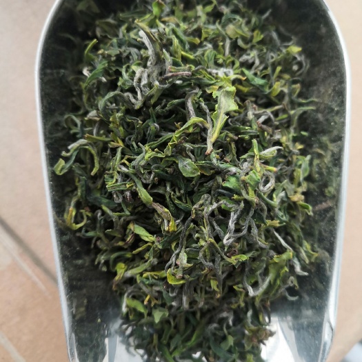 日照 2020正宗日照绿茶板栗香新茶尝鲜500g包邮