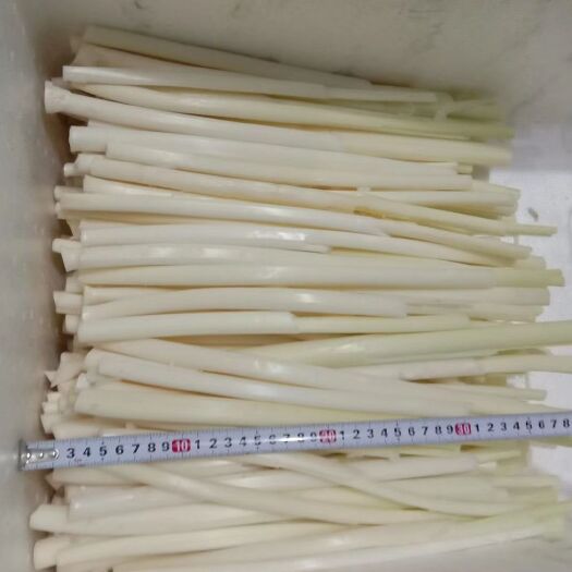 济南 鲜蒲菜，济南特产，大明湖三白，奶汤蒲菜，鲁菜第一汤菜，
