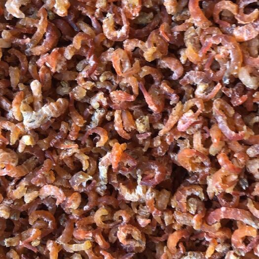 大连海米干  的渤海湾深水海虾加工，剂。纯绿色食品。
