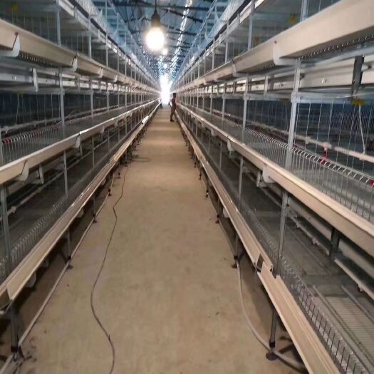 西平县 华顺牧业直销小层叠蛋鸡笼破蛋率低