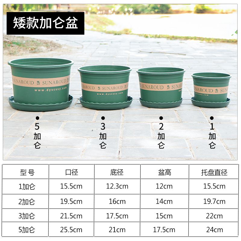  5只起批花盆塑料矮胖加仑花盆加厚控根透气加仑花盆多肉绿萝