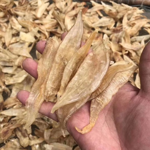 惠来县 小金鱼胶