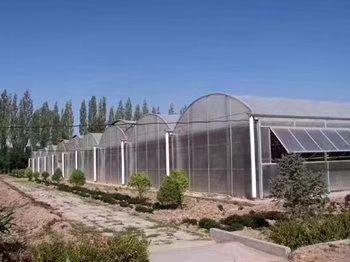 钢管大棚 种植棚养殖棚