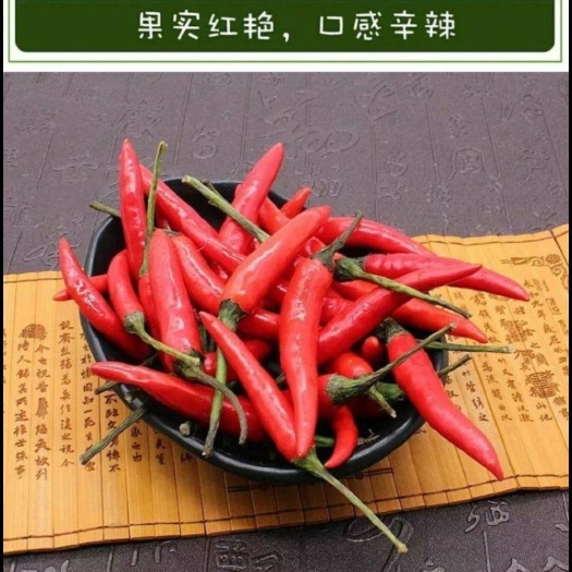 遵义 有机小米椒一键发货，包邮保质