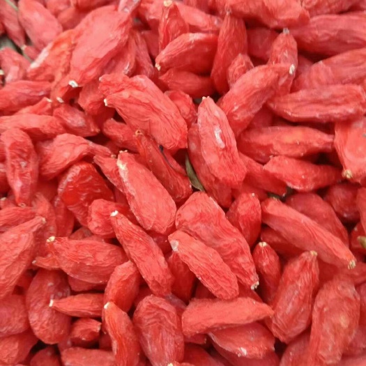 中卫宁夏枸杞  正宗宁夏红枸杞【头茬好货】纯碱枸杞，一手货源，品质保证。